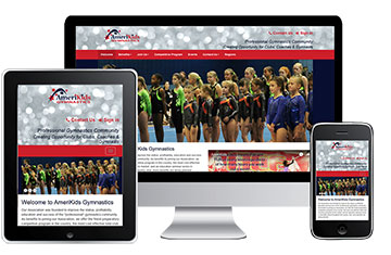 See WebHornet's Omaha Web Design Work - AmeriKids